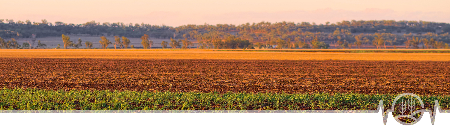 medical centre jandowae - doctors western downs - gp dalby - services wambo medical